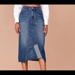 Zipper Fly Paneled Denim Skirt
